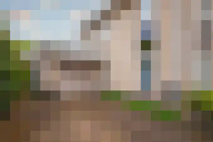 Harriët Freezerlaan 1 Elst thumbnail 6