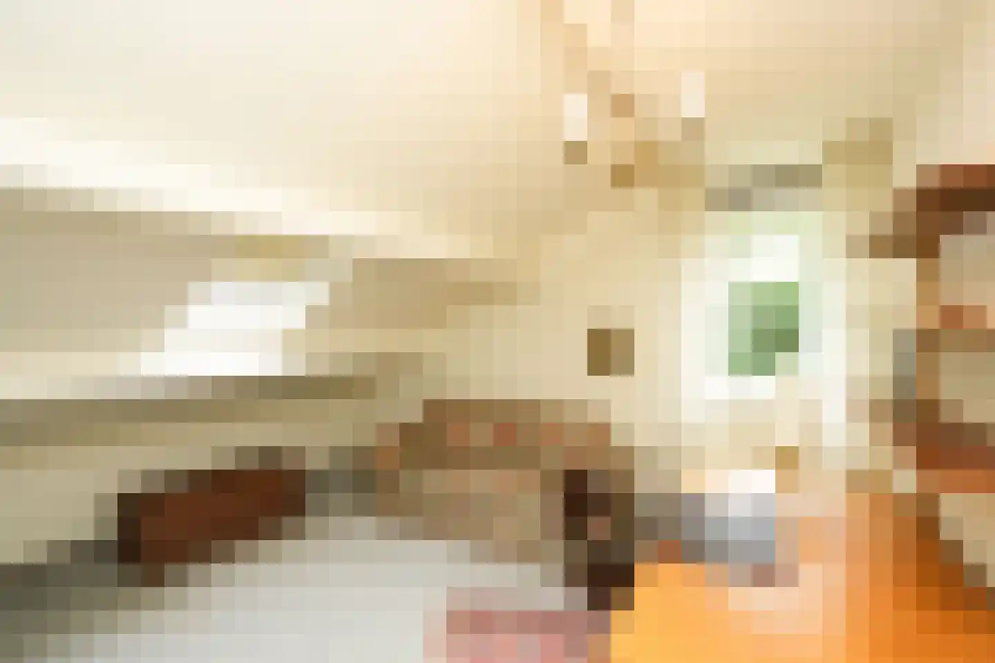 Harriët Freezerlaan 15 Nijmegen thumbnail 35