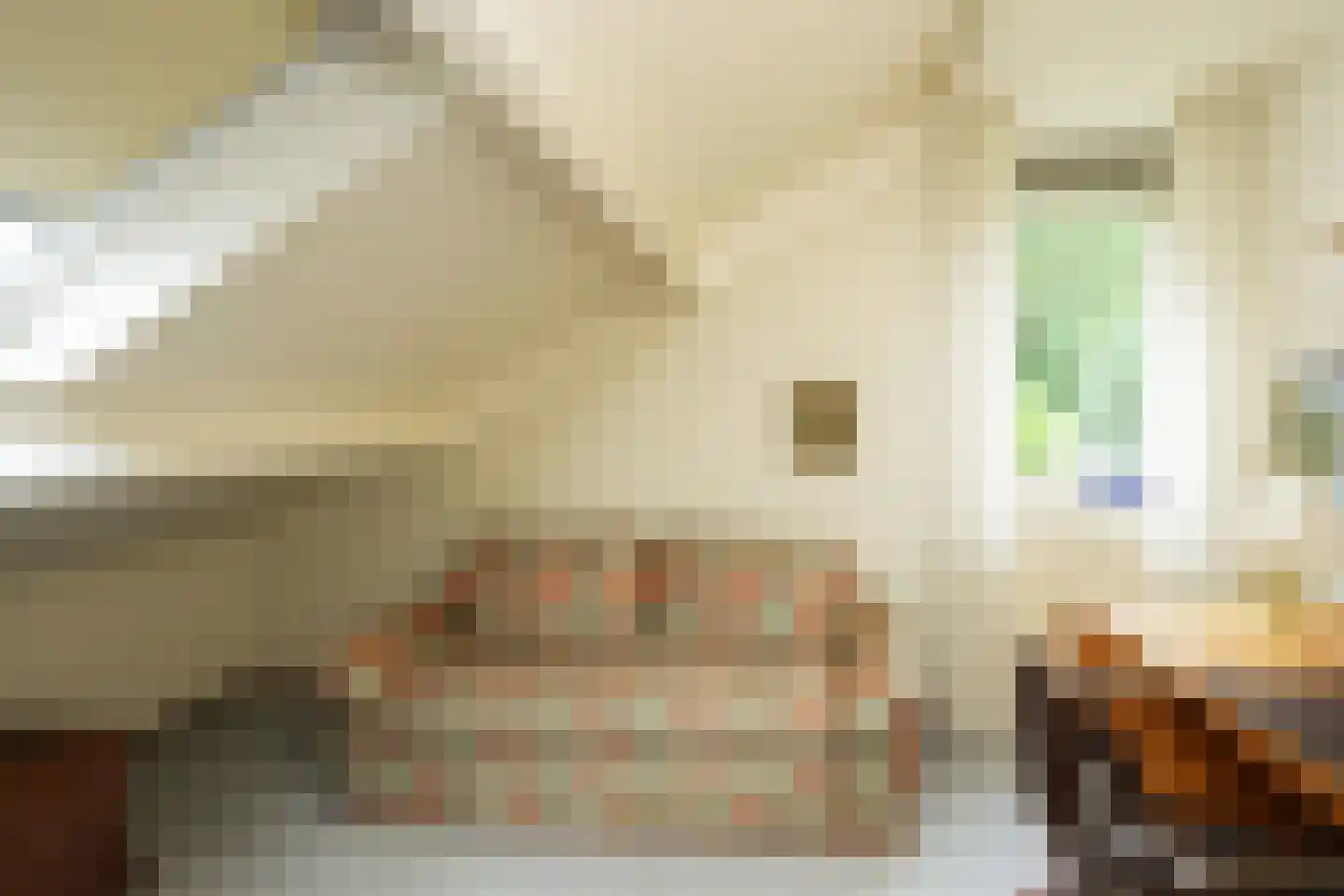 Harriët Freezerlaan 15 Nijmegen thumbnail 36