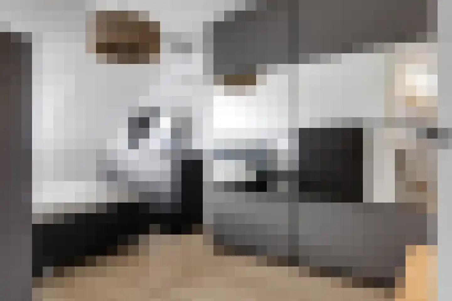 Harriët Freezerlaan 26 Elst thumbnail 41