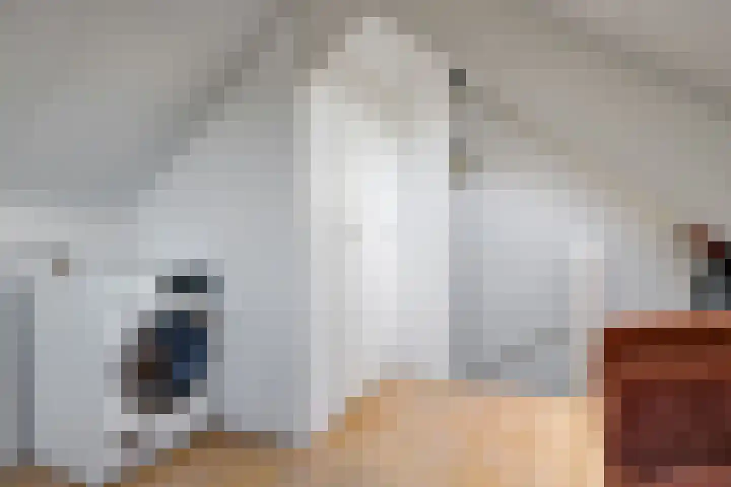 Harriët Freezerlaan 26 Elst thumbnail 54