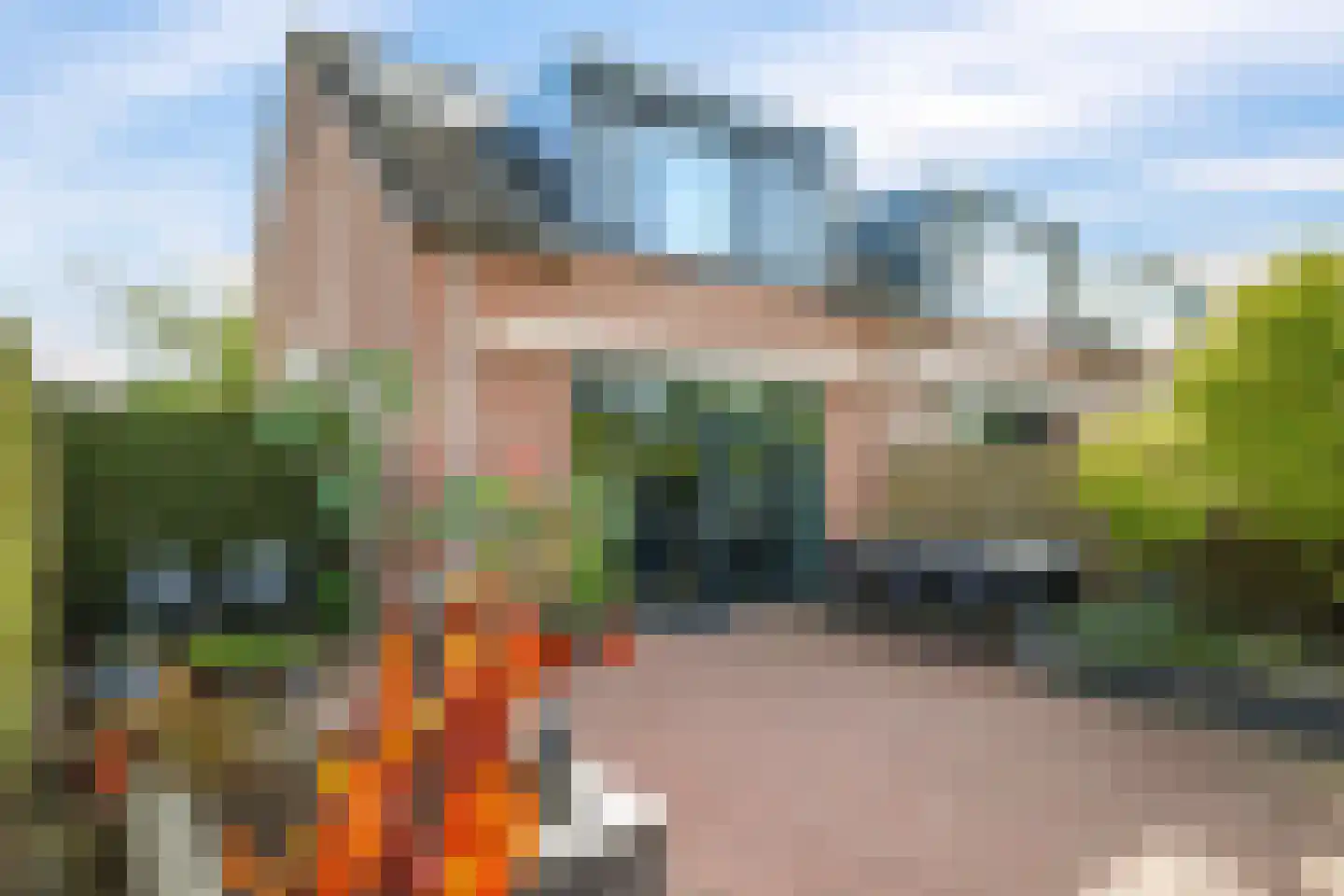 Harriët Freezerlaan 26 Elst thumbnail 57