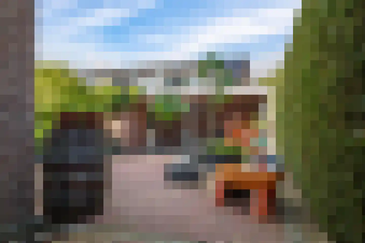 Harriët Freezerlaan 26 Elst thumbnail 61