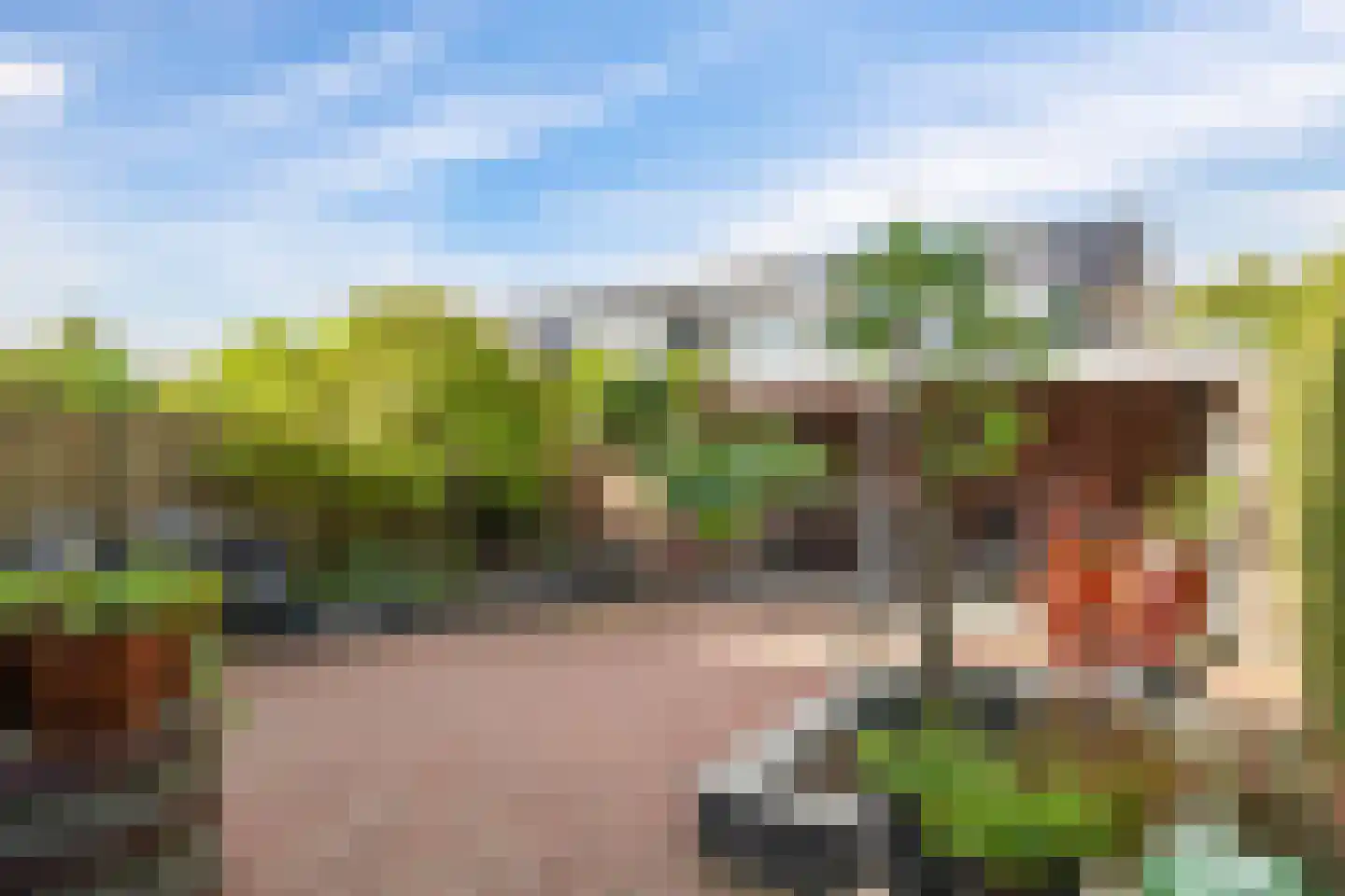 Harriët Freezerlaan 26 Elst thumbnail 62