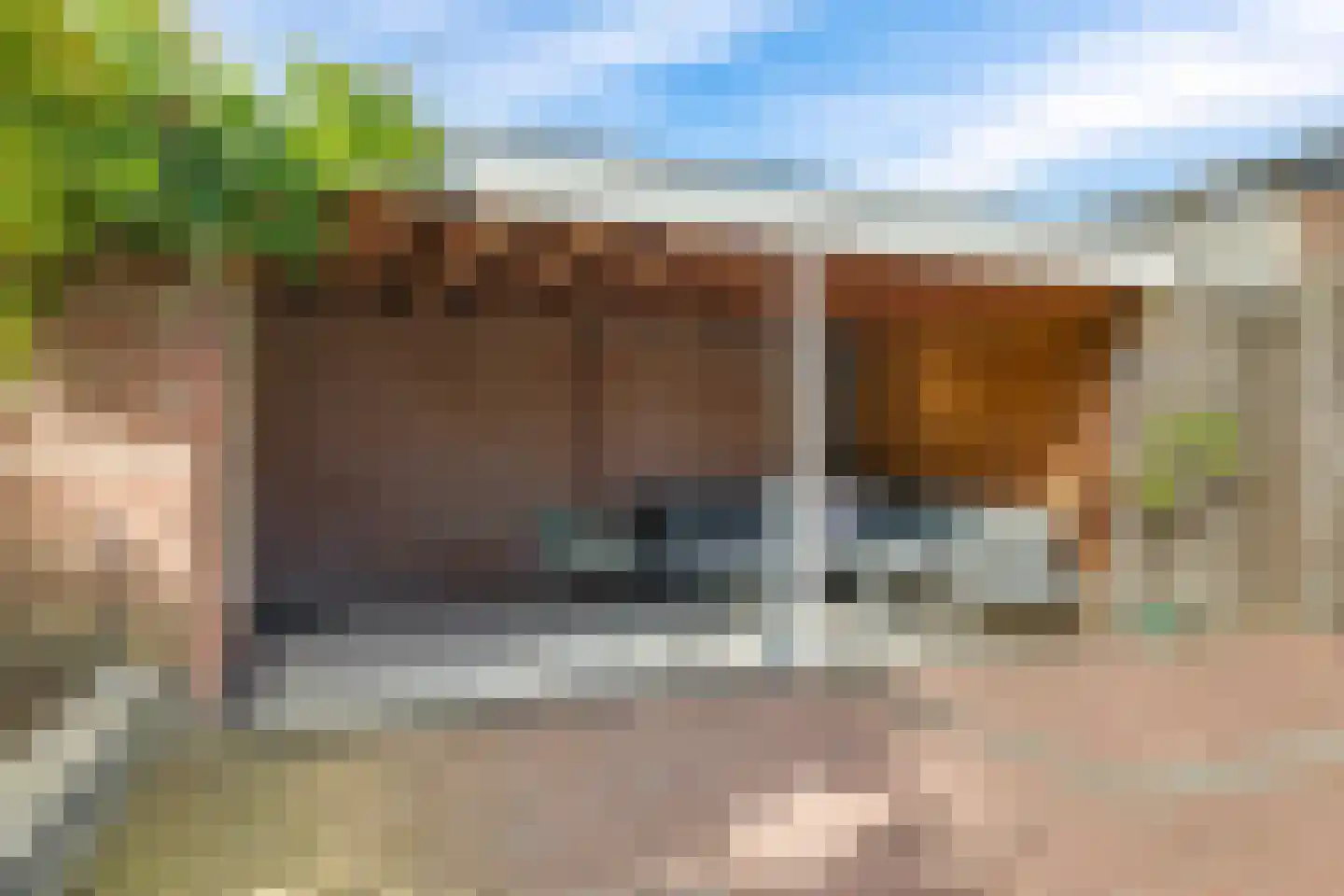 Harriët Freezerlaan 26 Elst thumbnail 69