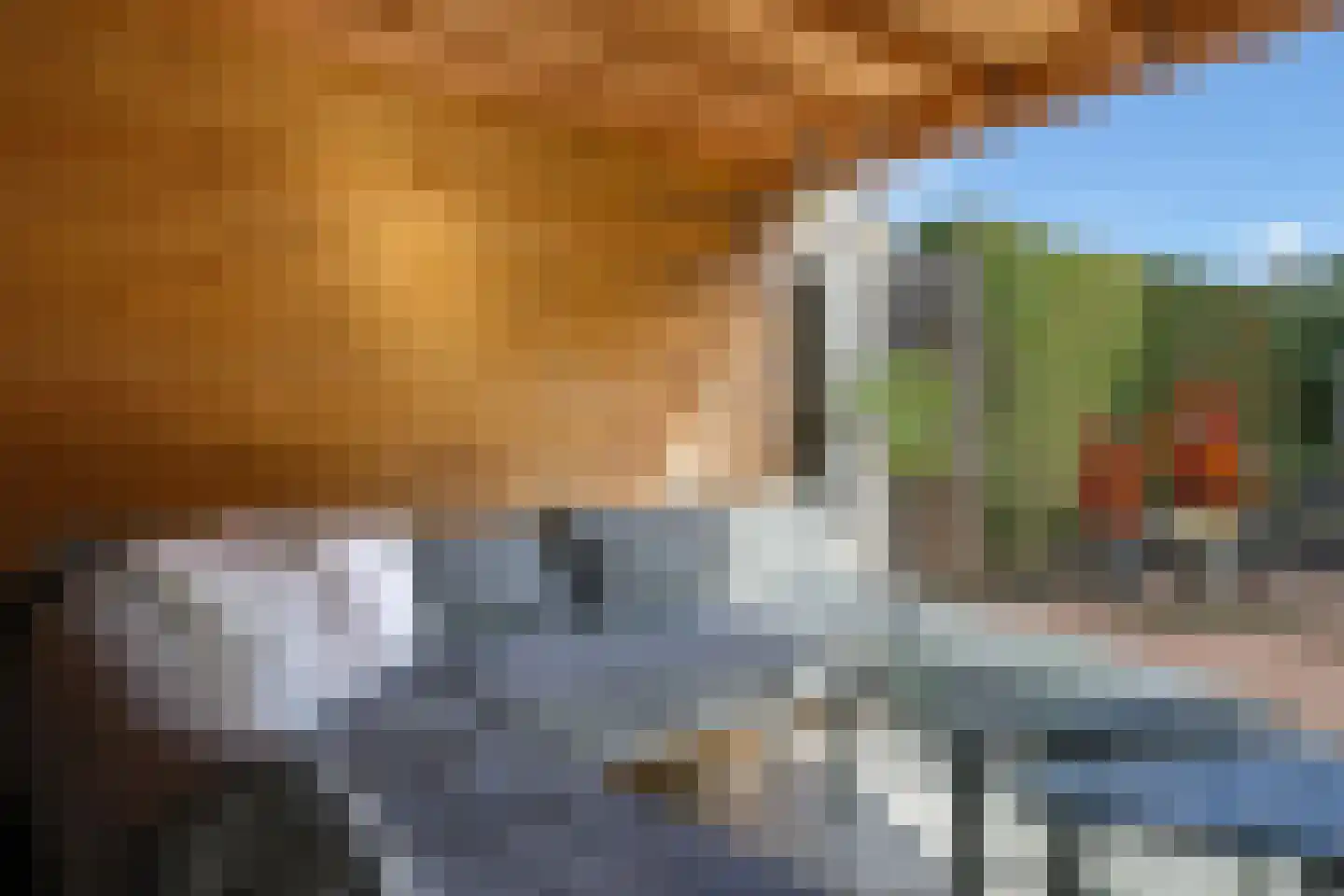 Harriët Freezerlaan 26 Elst thumbnail 73