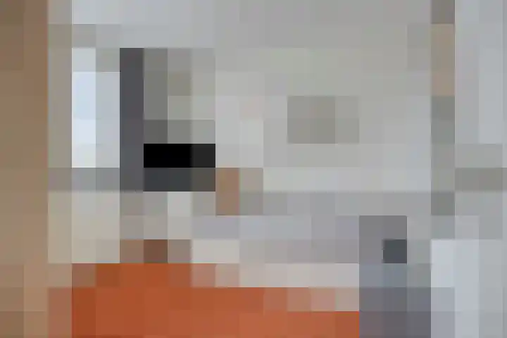 Harriët Freezerlaan 28 Elst thumbnail 33