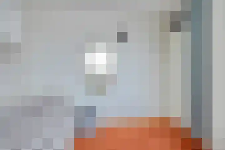 Harriët Freezerlaan 28 Elst thumbnail 35
