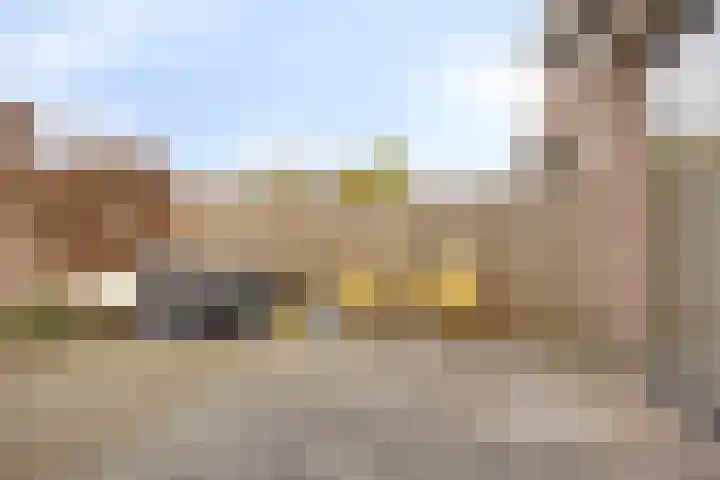Harriët Freezerlaan 28 Elst thumbnail 43