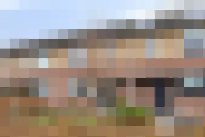 Harriët Freezerlaan 28 Elst thumbnail 5