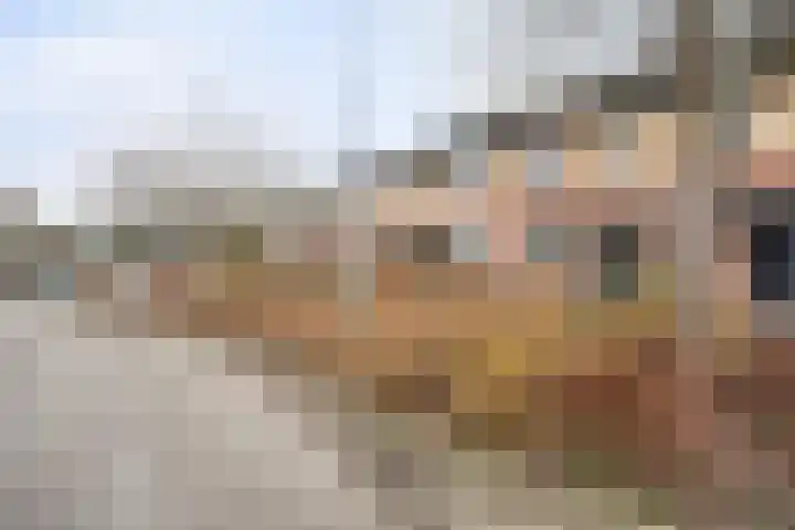 Harriët Freezerlaan 28 Elst thumbnail 7