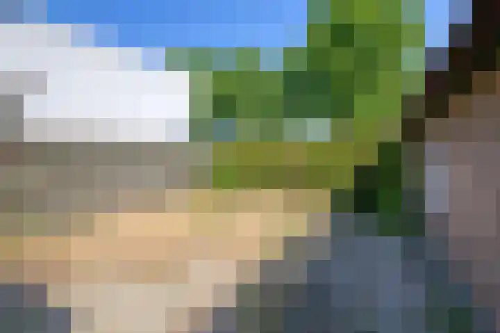 Harriët Freezerplantsoen 16 Apeldoorn thumbnail 16