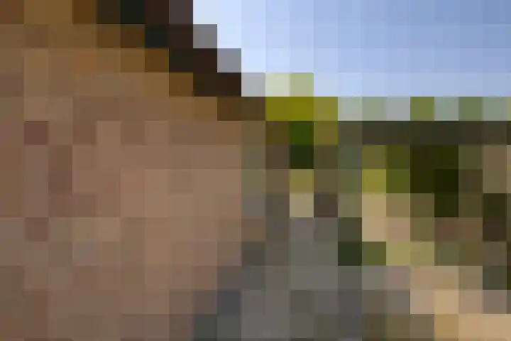 Harriët Freezerplantsoen 16 Apeldoorn thumbnail 17