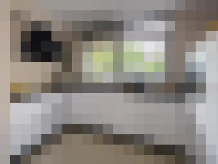 Harriët Freezerplein 5 Zutphen thumbnail 12