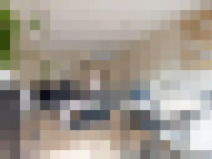 Harriët Freezerplein 5 Zutphen thumbnail 35