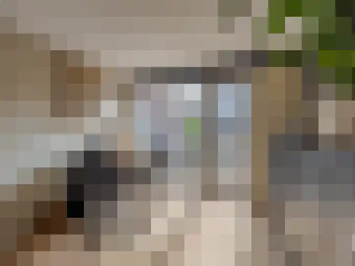 Harriët Freezerplein 5 Zutphen thumbnail 36