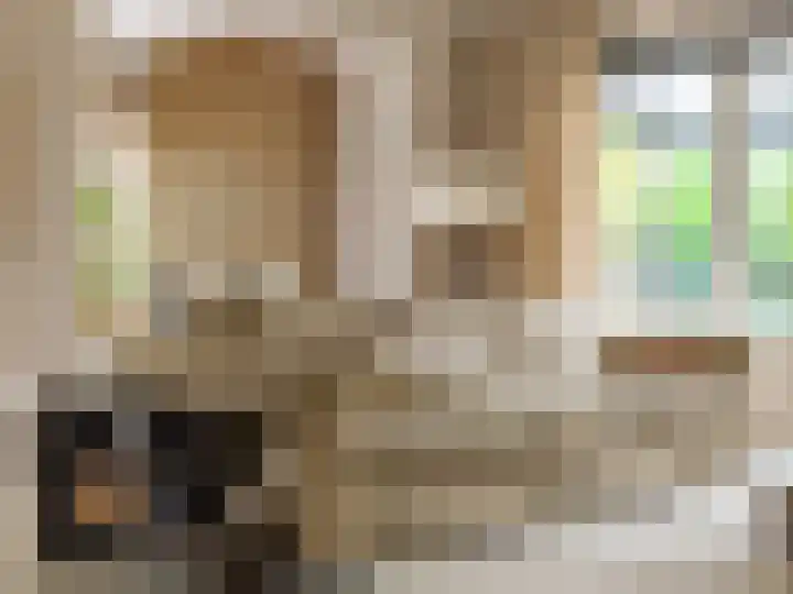 Harriët Freezerplein 5 Zutphen thumbnail 4