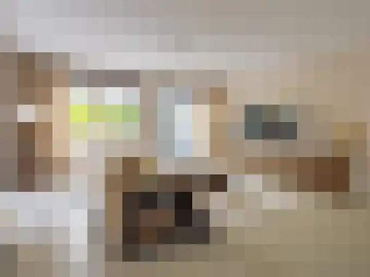 Harriët Freezerplein 5 Zutphen thumbnail 5