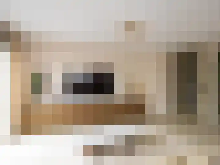 Harriët Freezerplein 5 Zutphen thumbnail 6