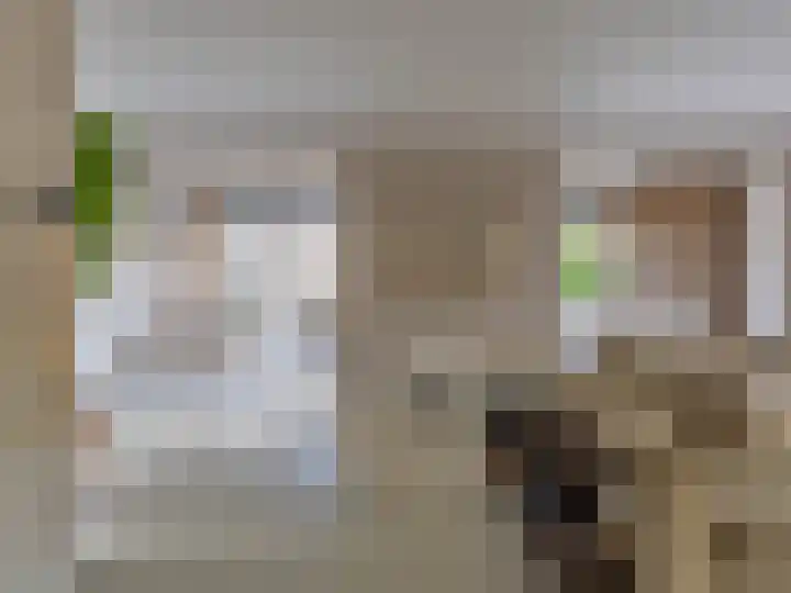 Harriët Freezerplein 5 Zutphen thumbnail 7