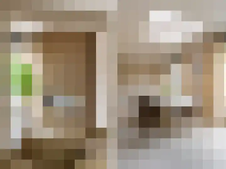 Harriët Freezerplein 5 Zutphen thumbnail 8