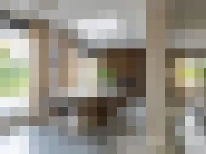 Harriët Freezerplein 5 Zutphen thumbnail 9