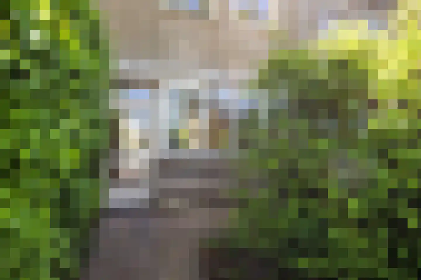 Harriët Freezersingel 26 Leiden thumbnail 4