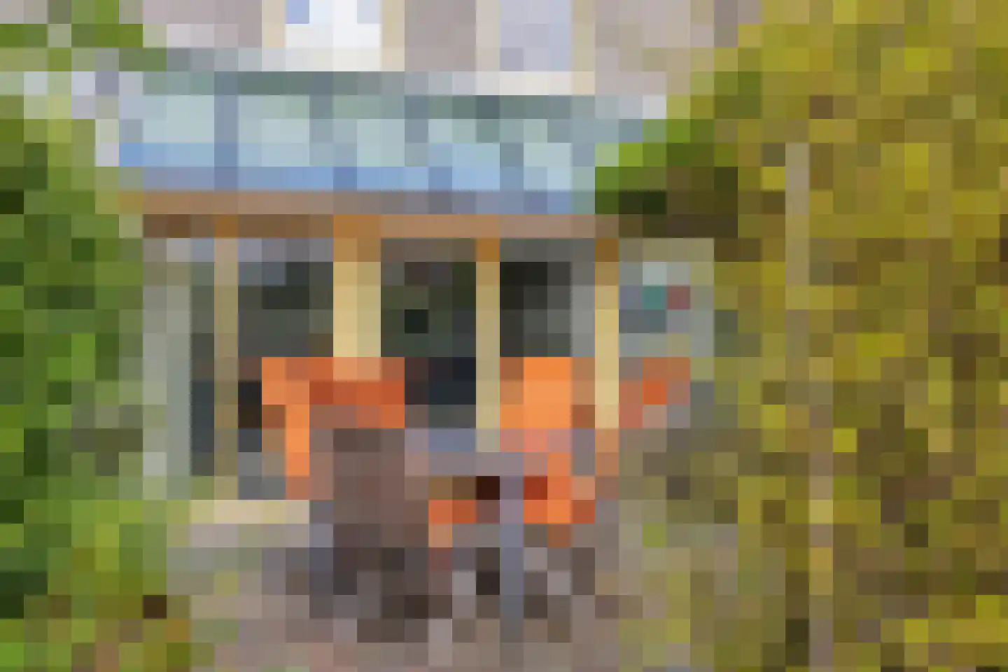 Harriët Freezersingel 36 Leiden thumbnail 12