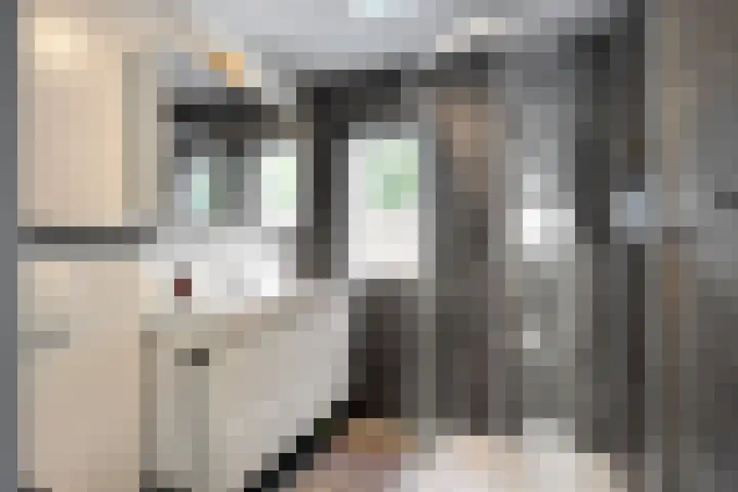 Harriët Freezersingel 36 Leiden thumbnail 25