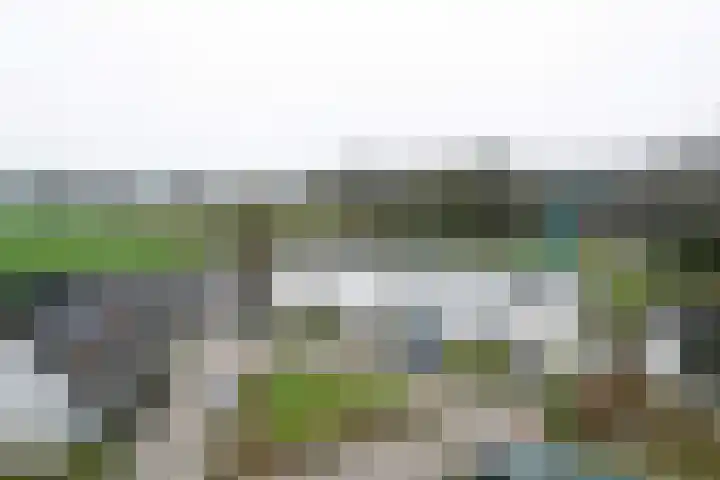 Harriët Freezerstraat 10 Deventer