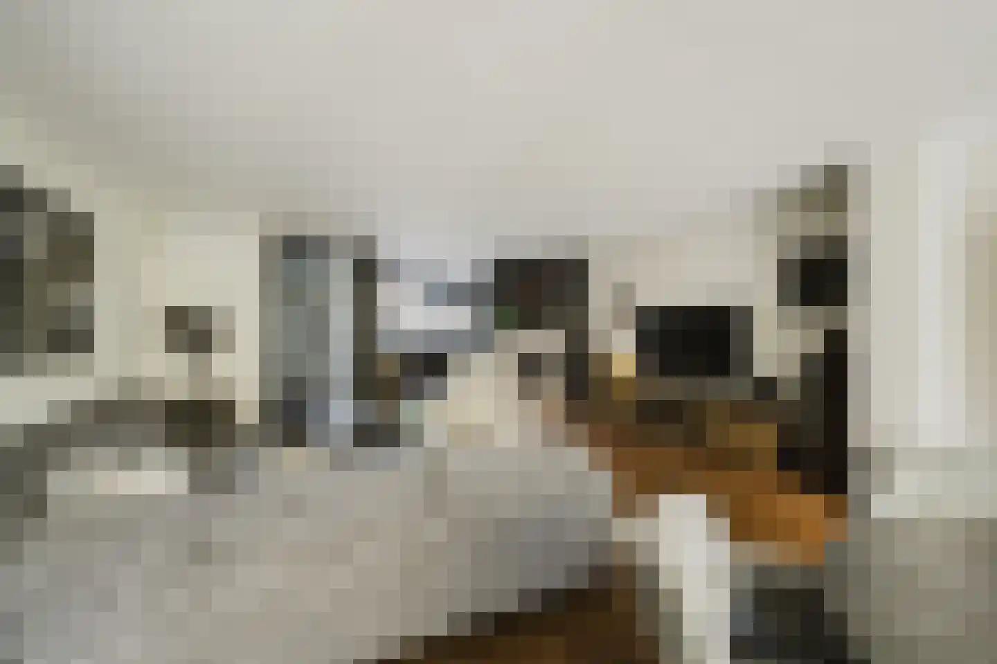 Harriët Freezerstraat 22 Spijkenisse thumbnail 14