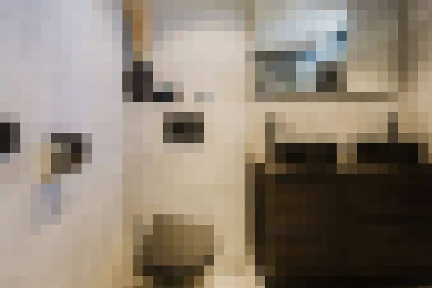Harriët Freezerstraat 22 Spijkenisse thumbnail 4