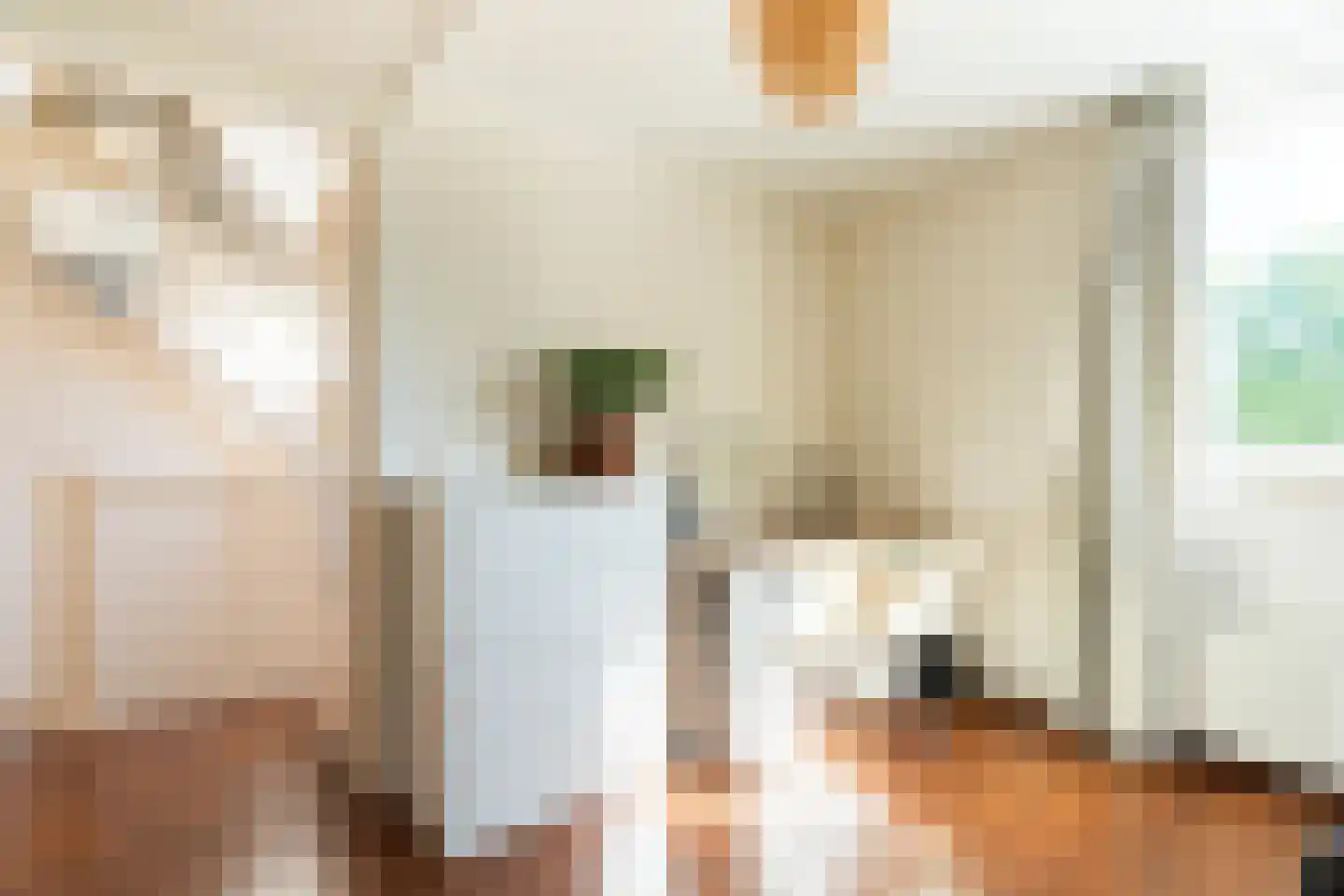 Harriët Freezerstraat 27 Hoofddorp thumbnail 35