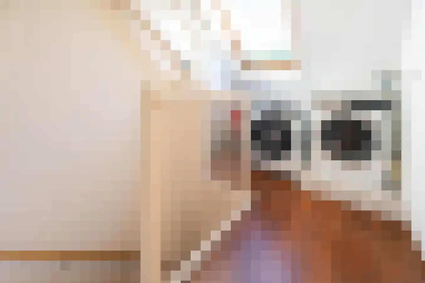 Harriët Freezerstraat 27 Hoofddorp thumbnail 36