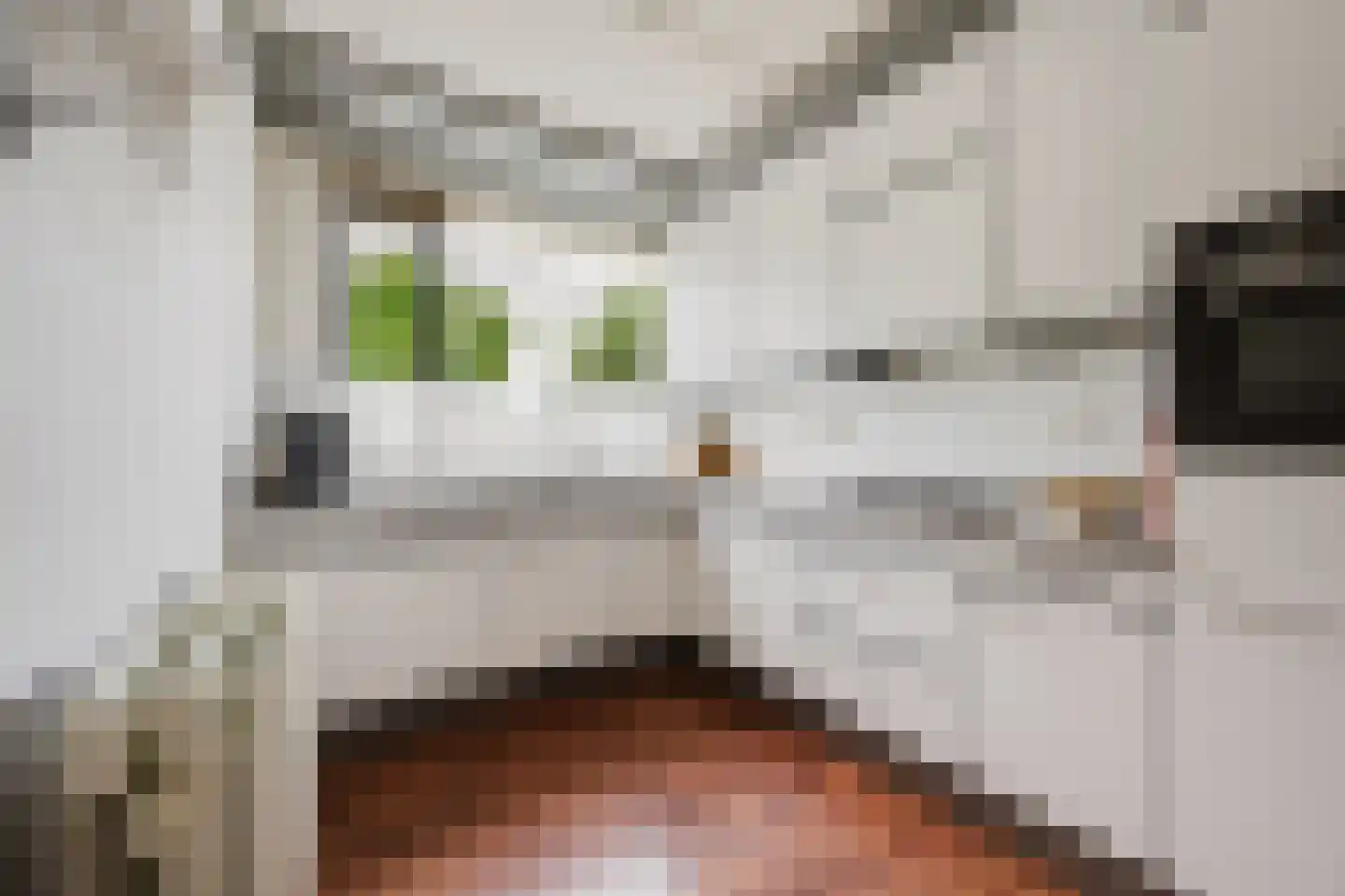 Harriët Freezerstraat 66 Spijkenisse thumbnail 15