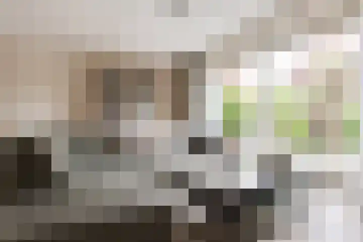 Harry Banninklaan 88 Berkel en Rodenrijs thumbnail 10