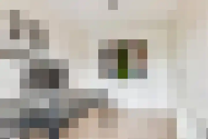 Harry Banninklaan 88 Berkel en Rodenrijs thumbnail 25