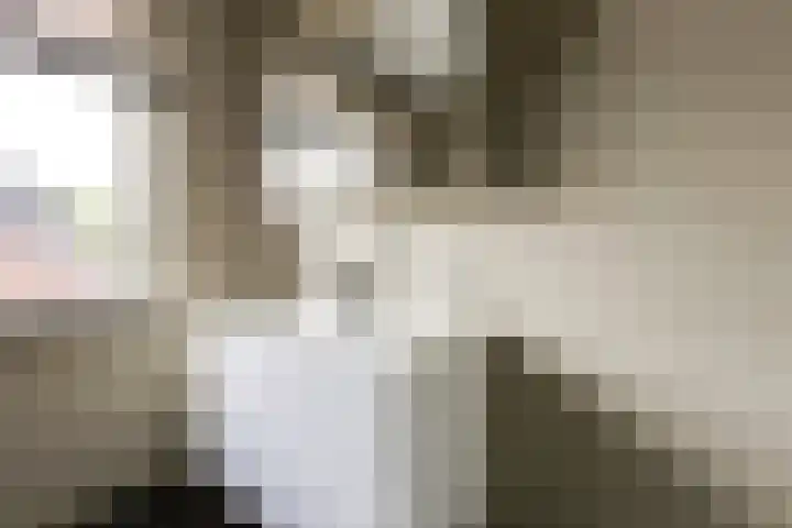 Harry Banninklaan 88 Berkel en Rodenrijs thumbnail 29