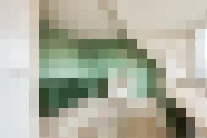 Harry Banninklaan 88 Berkel en Rodenrijs thumbnail 32