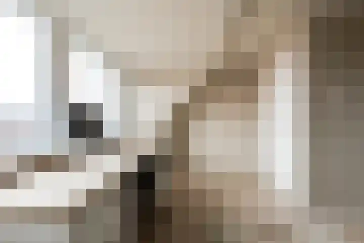 Harry Banninklaan 88 Berkel en Rodenrijs thumbnail 33
