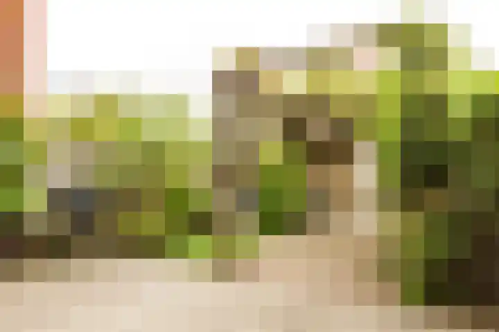Harry Banninklaan 88 Berkel en Rodenrijs thumbnail 36