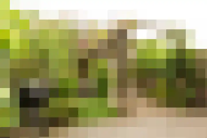 Harry Banninklaan 88 Berkel en Rodenrijs thumbnail 37