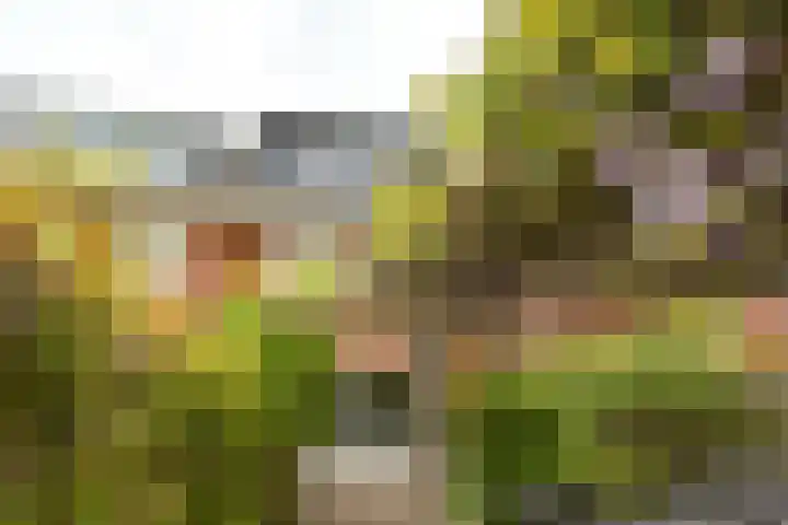 Harry Banninklaan 88 Berkel en Rodenrijs thumbnail 39