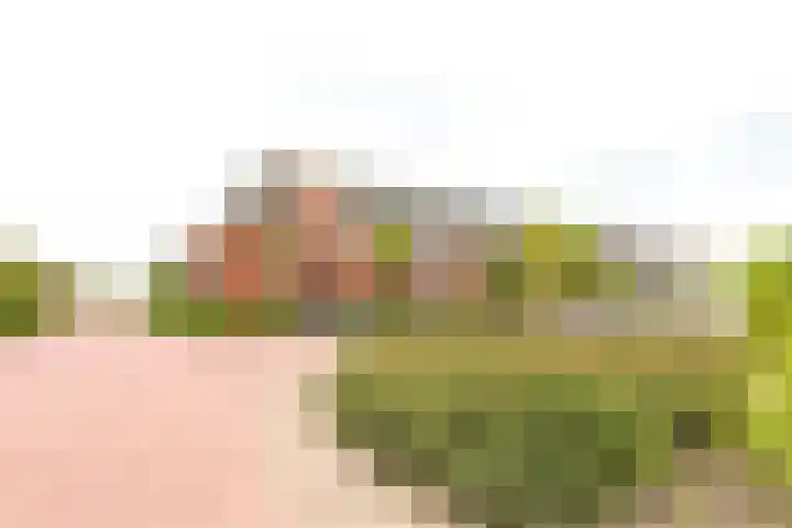Harry Banninklaan 88 Berkel en Rodenrijs thumbnail 4