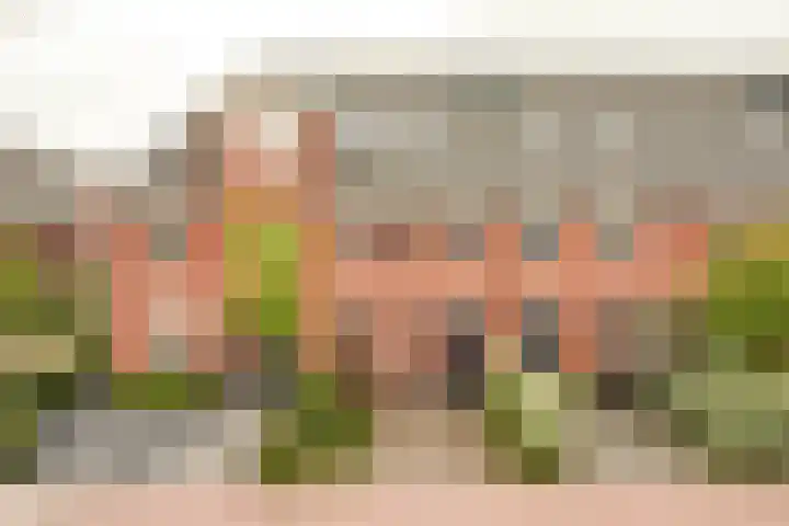 Harry Banninklaan 88 Berkel en Rodenrijs thumbnail 5