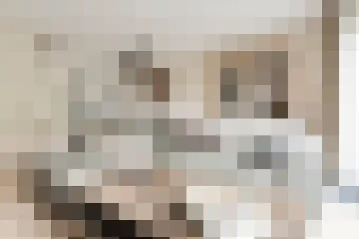 Harry Banninklaan 88 Berkel en Rodenrijs thumbnail 9