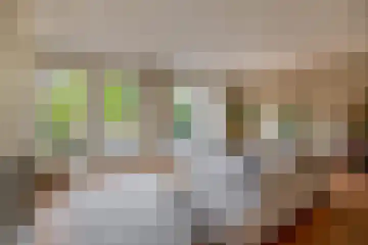 Harry Banninkstraat 124 Utrecht thumbnail 12