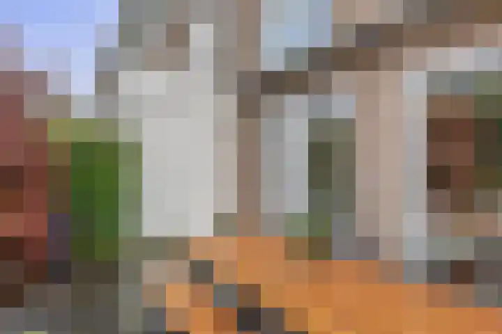 Harry Banninkstraat 124 Utrecht thumbnail 27