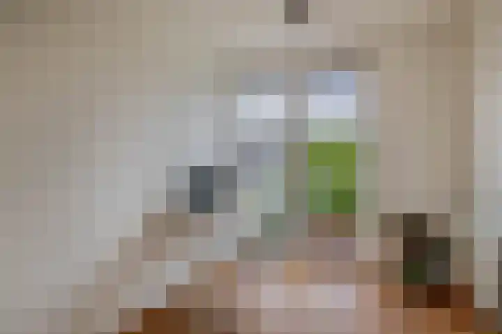 Harry Banninkstraat 124 Utrecht thumbnail 36