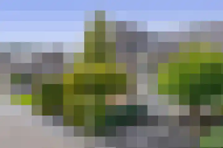 Harry Banninkstraat 124 Utrecht thumbnail 5